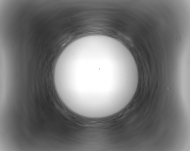 X0000086240364200703291010