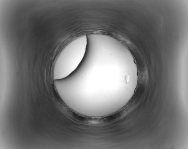 X0000086240365200703291010