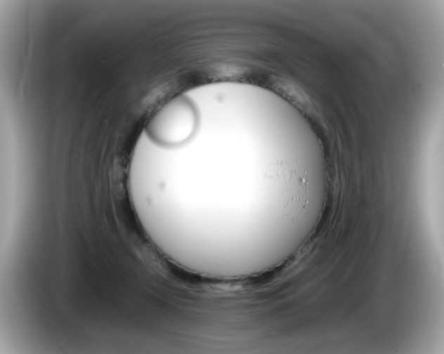 X0000086240366200703291010