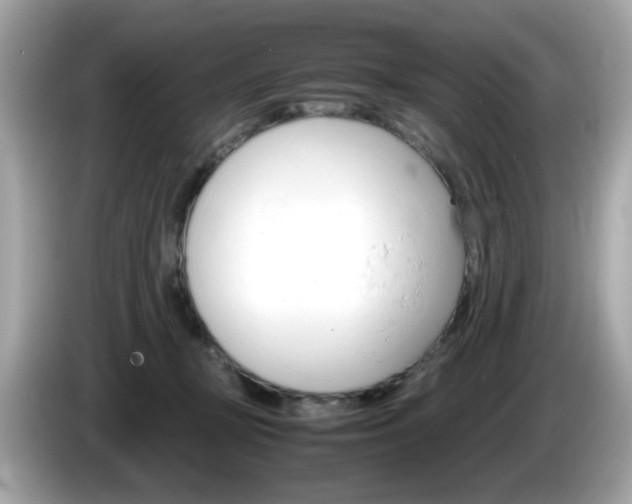 X0000086240367200703291010