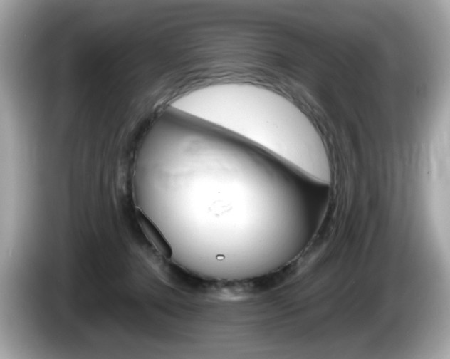 X0000086240368200703291010