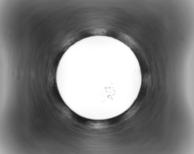 X0000086240370200703291010