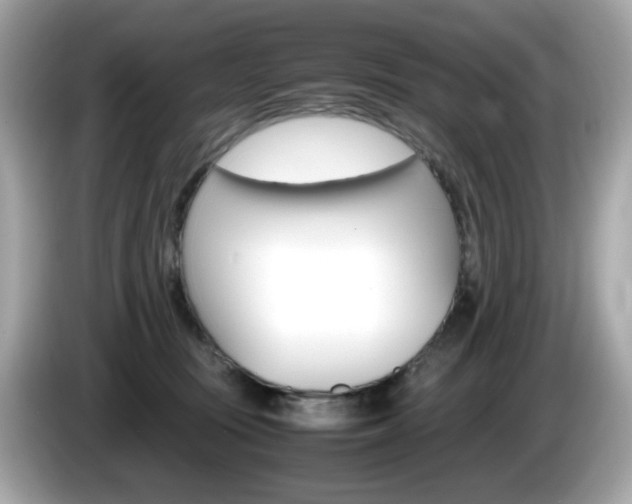 X0000086240371200703291010