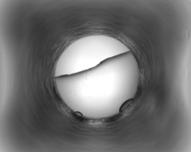 X0000086240373200703291010