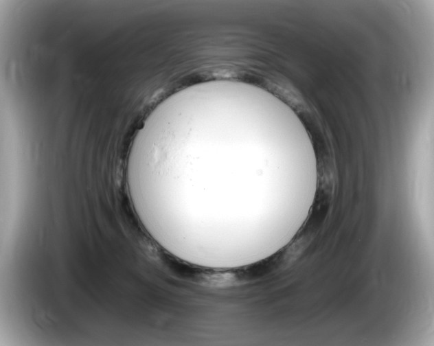 X0000086240374200703291010