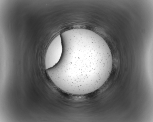X0000086240375200703291010