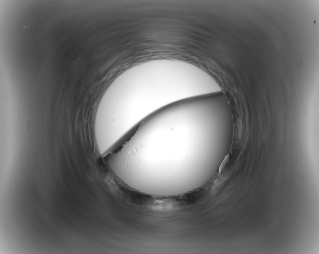 X0000086240376200703291010