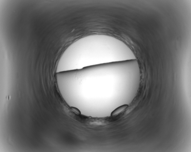 X0000086240377200703291010