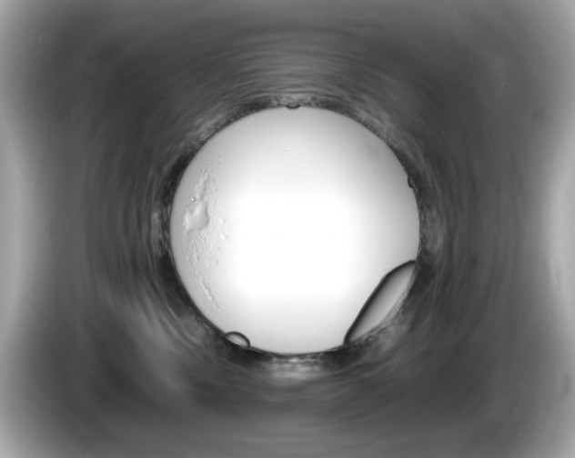 X0000086240378200703291010