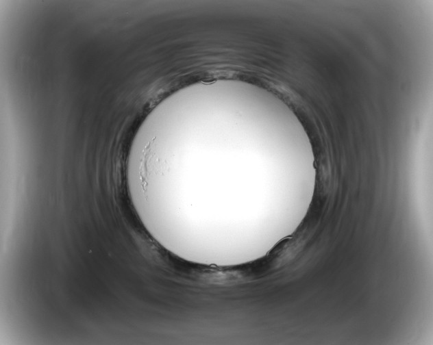 X0000086240379200703291010