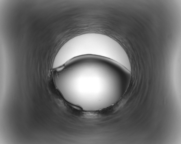 X0000086240380200703291010