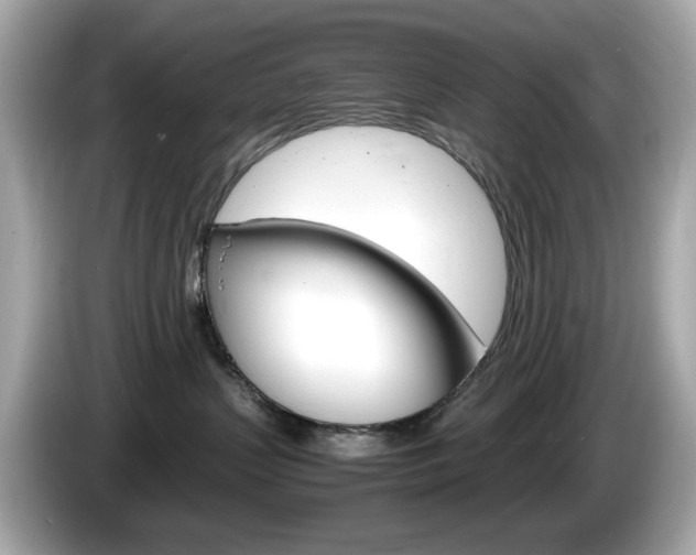 X0000086240383200703291010