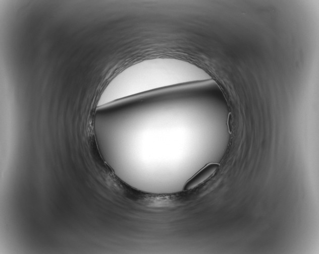 X0000086240384200703291010