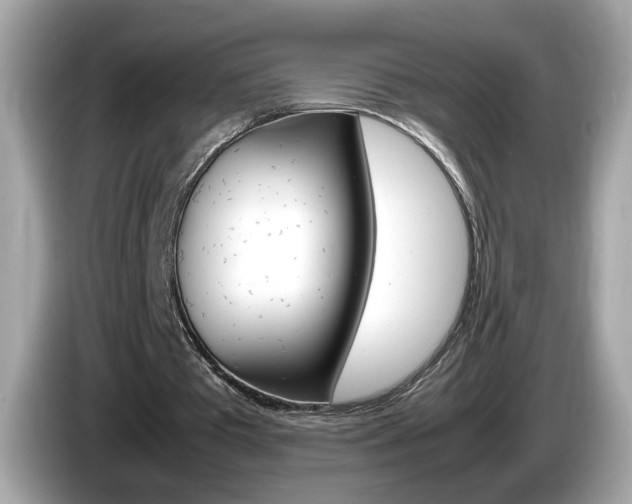 X0000086240385200703291010