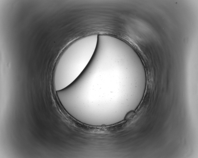X0000086240386200703291009