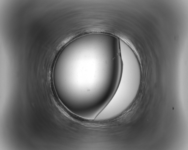X0000086240389200703291009