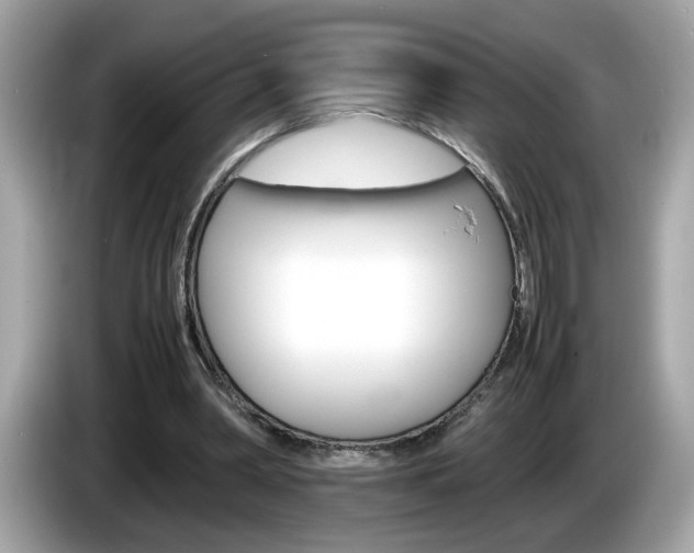 X0000086240390200703291009