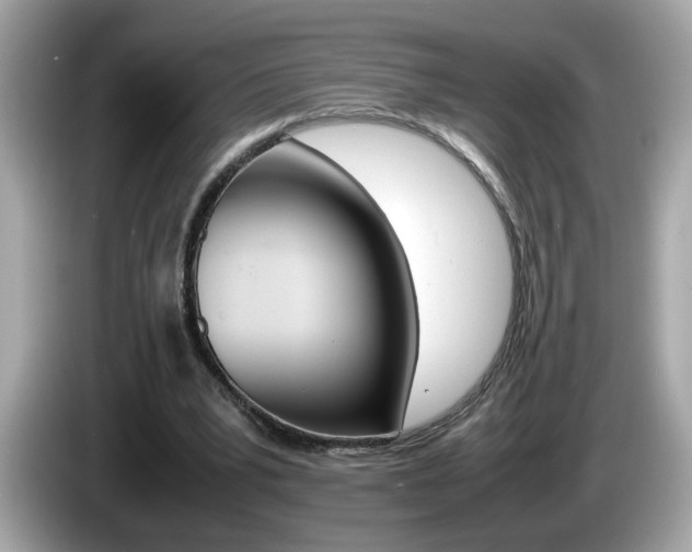 X0000086240391200703291009
