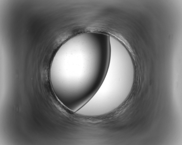 X0000086240393200703291009