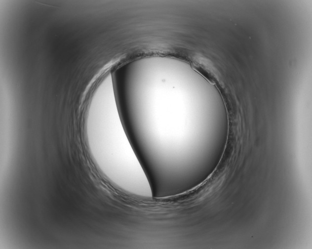 X0000086240395200703291009