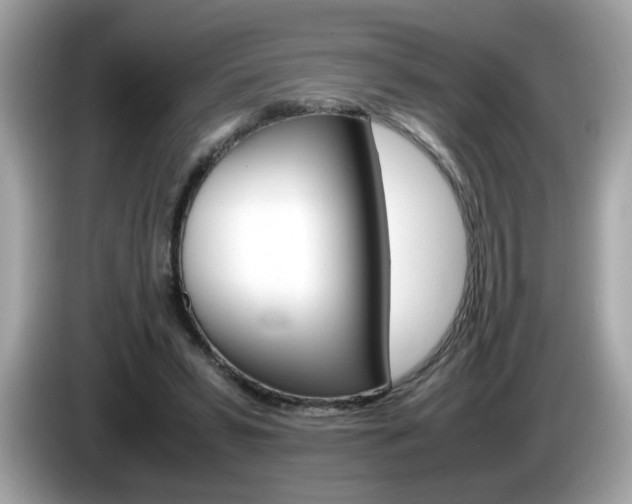 X0000086240399200703291009