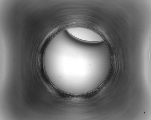 X0000086240400200703291009