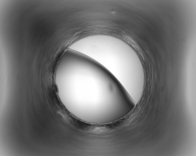 X0000086240401200703291009