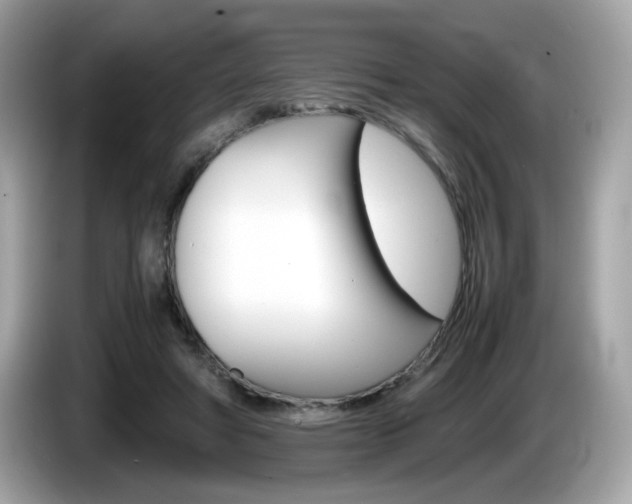 X0000086240402200703291009