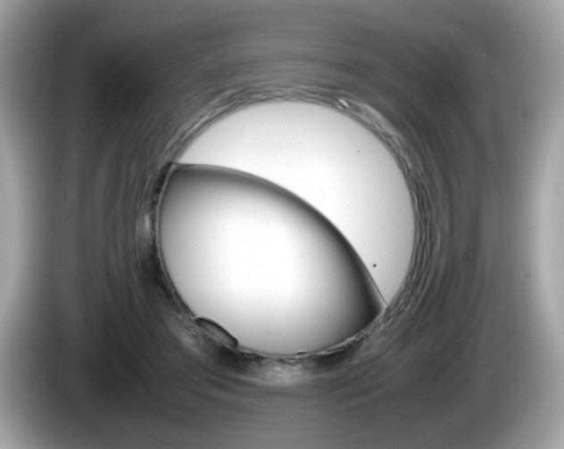 X0000086240405200703291009