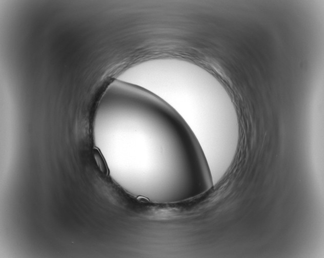X0000086240407200703291009