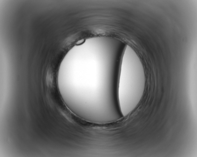 X0000086240408200703291009