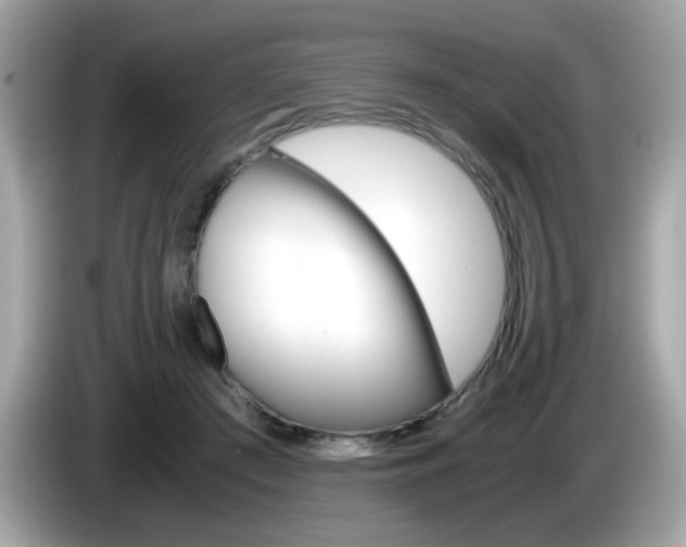 X0000086240409200703291009