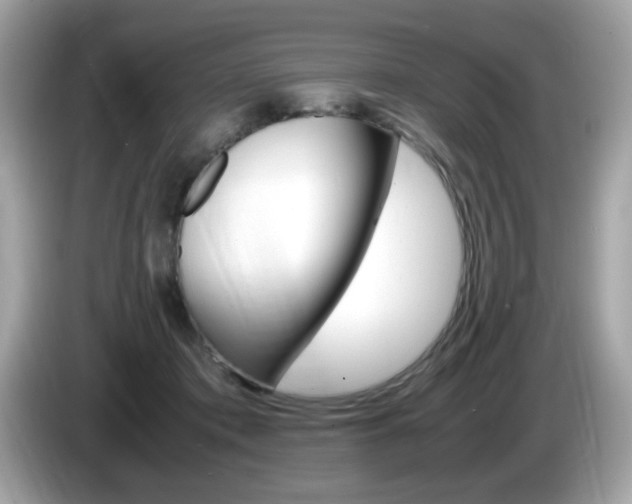 X0000086240413200703291009