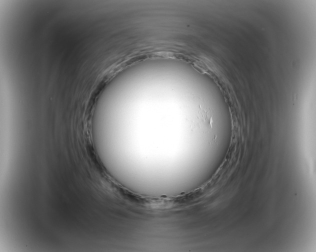 X0000086240415200703291009