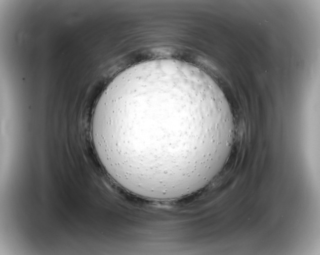 X0000086240418200703291009