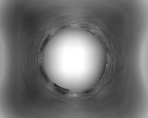 X0000086240419200703291009