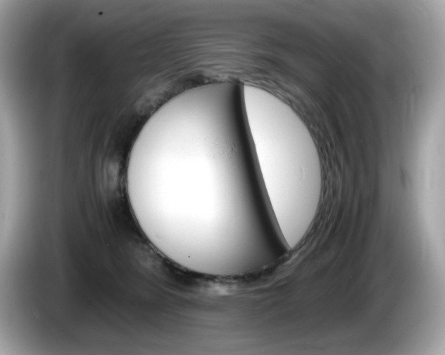X0000086240420200703291009