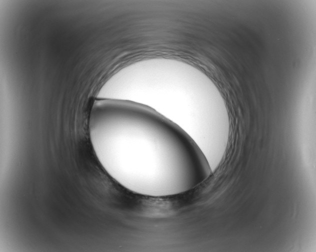 X0000086240421200703291009
