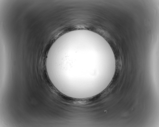X0000086240422200703291009