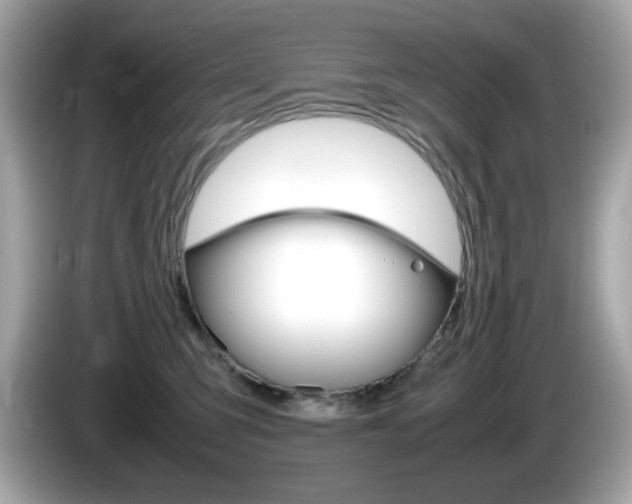 X0000086240423200703291009