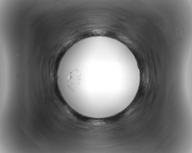 X0000086240424200703291009