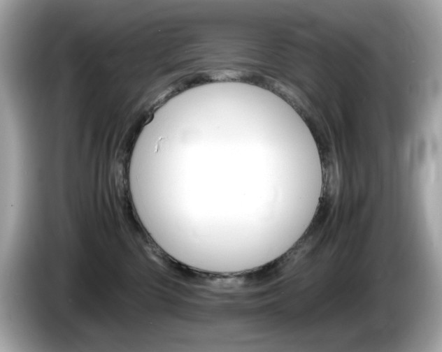 X0000086240426200703291009