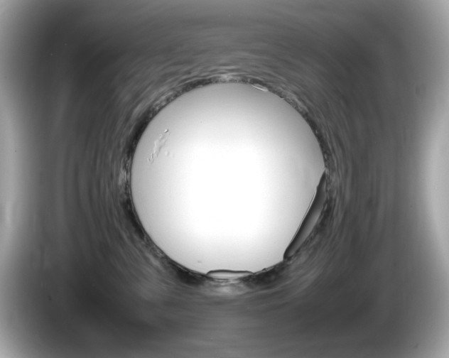 X0000086240427200703291009