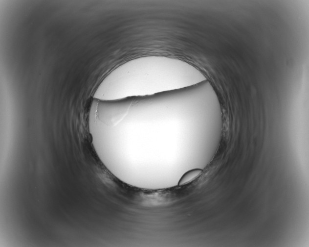 X0000086240430200703291009