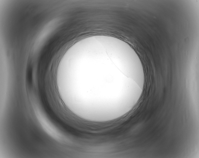 X0000086240431200703291009