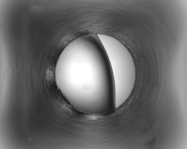 X0000086240432200703291009