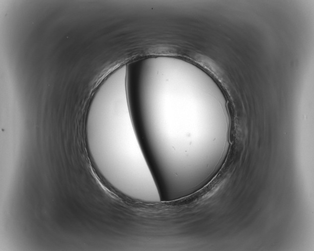 X0000086240433200703291008