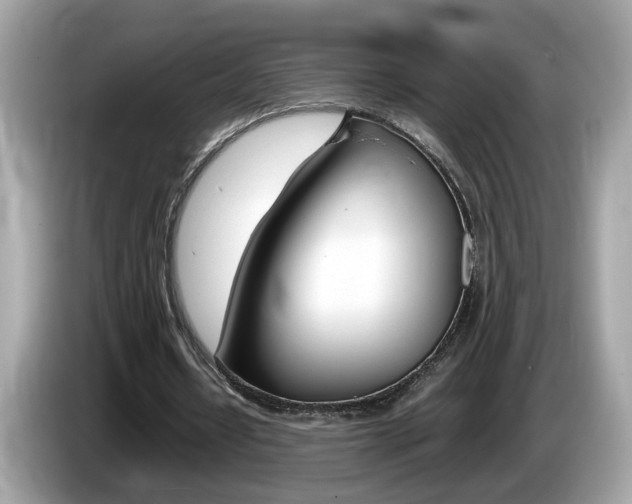 X0000086240434200703291008