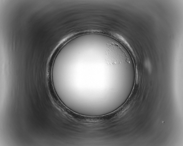 X0000086240435200703291008