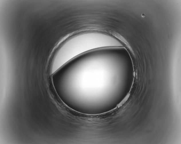 X0000086240436200703291008
